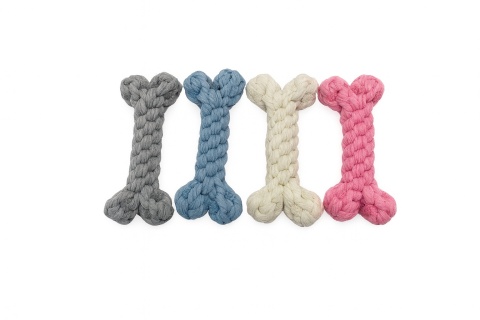 Kostka niebieska dla psa